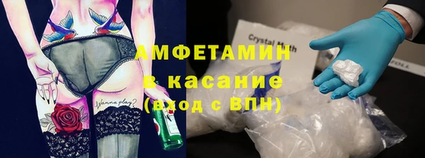 сатива Белокуриха