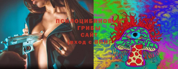 сатива Белокуриха