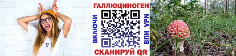 дарнет шоп  Заозёрск  Галлюциногенные грибы MAGIC MUSHROOMS 